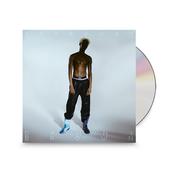 DANNY BROWN - Stardust image