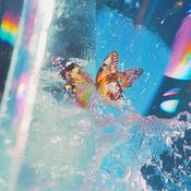 DAPHNI - Butterfly image