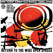 DAVID "FATHEAD NEWMAN * ELLIS MARSALIS * CORNELL DUPREE - Return to the Wide Open Spaces image
