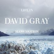 DAVID GRAY - Life in Slow Motion (20th Anniversary Edition) image