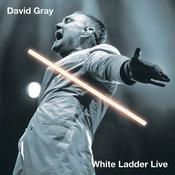 DAVID GRAY - White Ladder Live (Repress) - 2LP - Vinyl [OCT 25] image