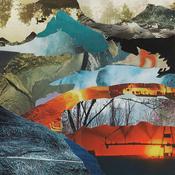 DAVID GRUBBS - Whistle From Above - LP - Vinyl [FEB 28] image