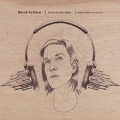 DAVID SYLVIAN - Died In The Wool (Manafon Variations) - 2LP - Gatefold Vinyl [JAN 31] image