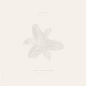 THE DEAD TONGUES - Body Of Light / I Am A Cloud - 2LP - Vinyl [AUG 9] image