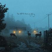 DERMOT KENNEDY - I’ve Told The Trees Everything - 12'' EP - Vinyl [JUN 14] image