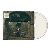 DERMOT KENNEDY - The Weight Of The Woods image