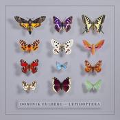 DOMINIK EULBERG - Lepidoptera image