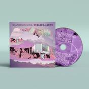DOWNTOWN BOYS - Public Luxury - CD image