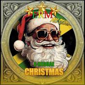 ERM ALL STARS - A Reggae Christmas image
