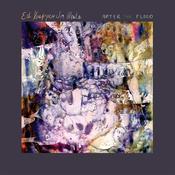 ED KUEPPER &amp; JIM WHITE - After The Flood - LP - Vinyl [APR 4] image