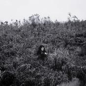 ELAINE MALONE - Pyrrhic - LP - Vinyl image