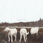 FOXING - The Albatross: Ten Years - LP - Brown Vinyl [JUN 14] image