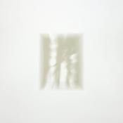 FAT WHITE FAMILY - Forgiveness Is Yours (with Poster insert) - LP - Black Vinyl [APR 26] image