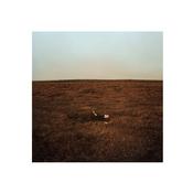 FINK - The City Is Coming To Erase It All - LP - 'Winter Gorse' Coloured Vinyl image