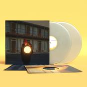 FLOCK OF DIMES - The Life You Save (Sub Pop 'Loser Edition') image