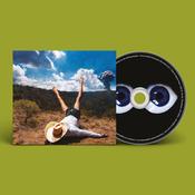 GEESE - 3D Country image