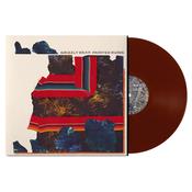 GRIZZLY BEAR - Painted Ruins (Reissue) image