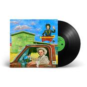HAYDEN PEDIGO - I'll Be Waving As You Drive Away - LP - Vinyl image