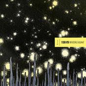 ISIS - Wavering Radiant (Repress) - 2LP - Black Vinyl image