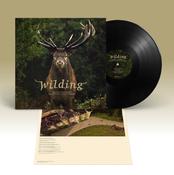JON HOPKINS &amp; BIGGI HILMARS - Wilding (OST) image