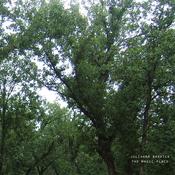 JULIANNA BARWICK - The Magic Place (2024 Remaster) - LP - Vinyl [DEC 6] image