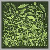 KIRK BARLEY - Lux - LP - Vinyl [MAR 21]