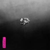 LITTLE SIMZ - Lotus image