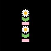 THE LOTTERY WINNERS - KOKO - CD [MAR 21] image