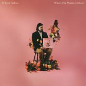 M ROSS PERKINS - What's the Matter, M Ross? - CD [MAY 2] image