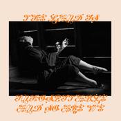 MITSKI - The Land is Inhospitable and So Are We image