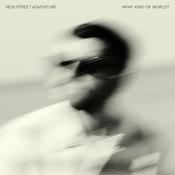 NEW STREET ADVENTURE - What Kind Of World? image