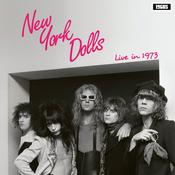 NEW YORK DOLLS - Live in 1973 image