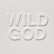 NICK CAVE &amp; THE BAD SEEDS - Wild God - LP - Black Vinyl image