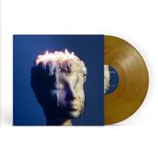 Night Swimming - Melting, Sometimes Bleeding (2nd Repress Ecomix Vinyl) image