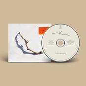 PJ HARVEY - I Inside The Old Year Dying (w/ Lyric Booklet) - CD image