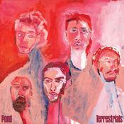 POND - Terrestrials - CD image