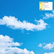 Netsky - Everybody Loves The Sunshine image