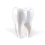 PORIJ - Teething - LP - Vinyl [APR 26] image