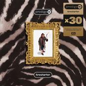 THE PRODIGY - Firestarter - x30 - 12'' - Vinyl [MAR 13] image