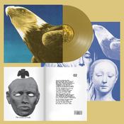 Protomartyr - Hotel Usona image