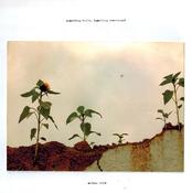Morgan Noise - Something built, Something remembered image