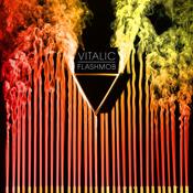 Vitalic - Flashmob (2026 Edition) image