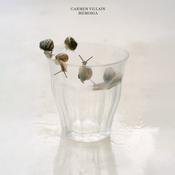 Carmen Villain - Memoria image
