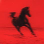 RED RUM CLUB - BUCK image