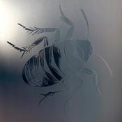 ROACH SQUAD - Roach Squad - LP - Transparent Red Vinyl [MAR 14] image