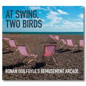 RONAN GUILFOYLE’S BEMUSEMENT ARCADE - At Swing, Two Birds image