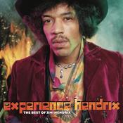 Experience Hendrix image