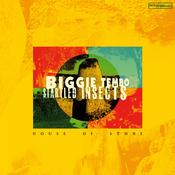 BIGGIE TEMBO &amp; STARTLED INSECTS - HOUSE OF STONE image