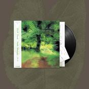 Hiroshi Yoshimura - Quiet Forest image