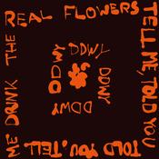ddwy - Tell Me, Told You image